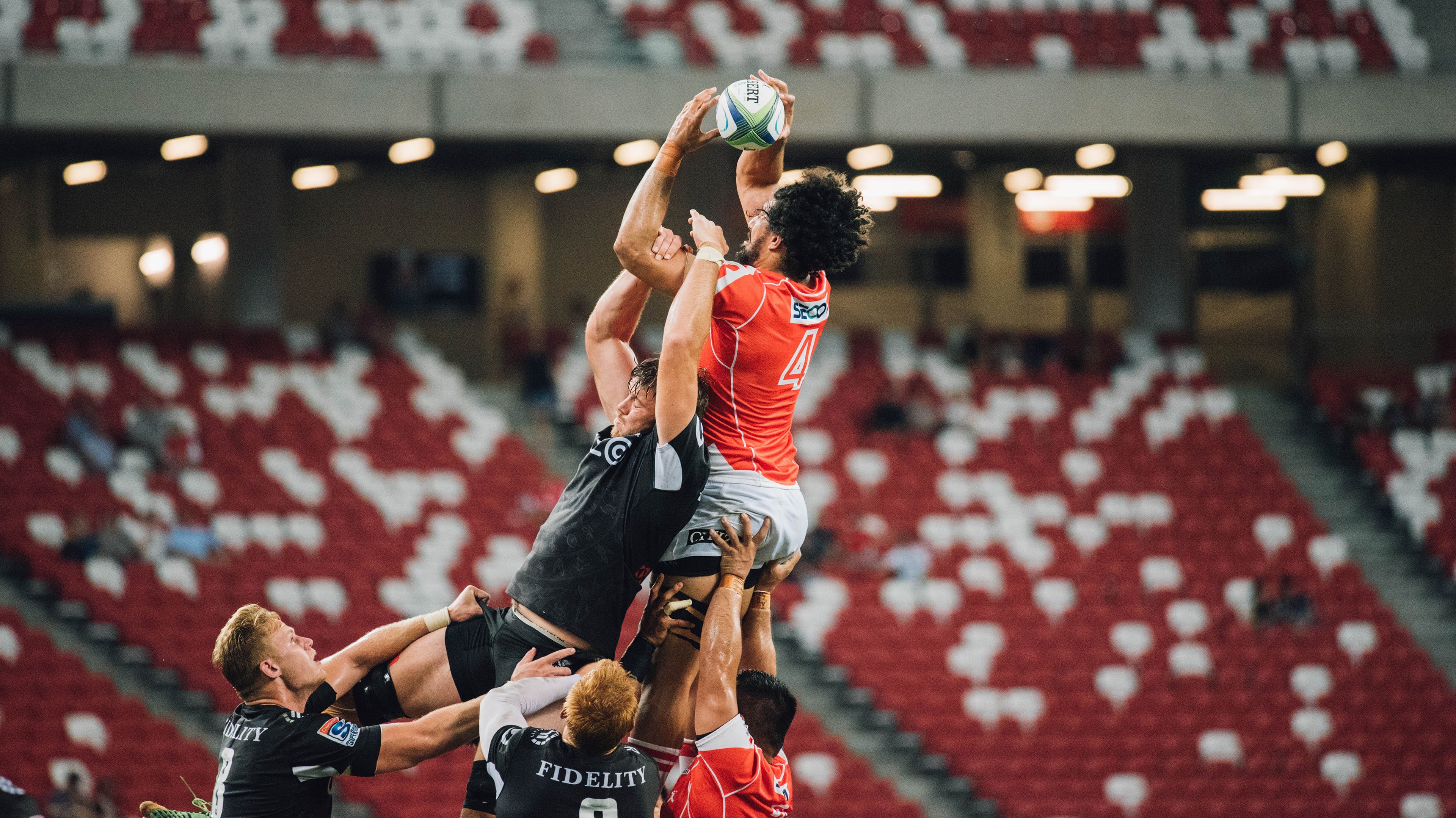 “沙漠来的队伍怎么在雪地这么猛？”全网热议塞内加尔，沙漠雪快速消失是为什么