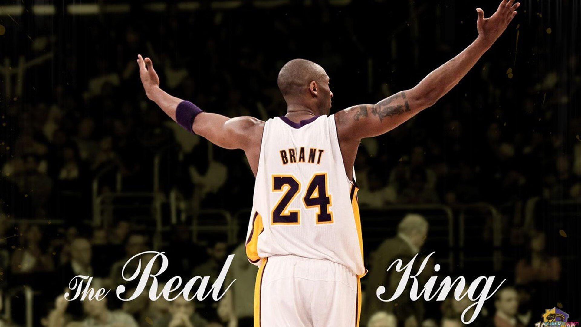 海外车迷:不同国家的赛场狂欢文化揭秘,国外汽车比赛