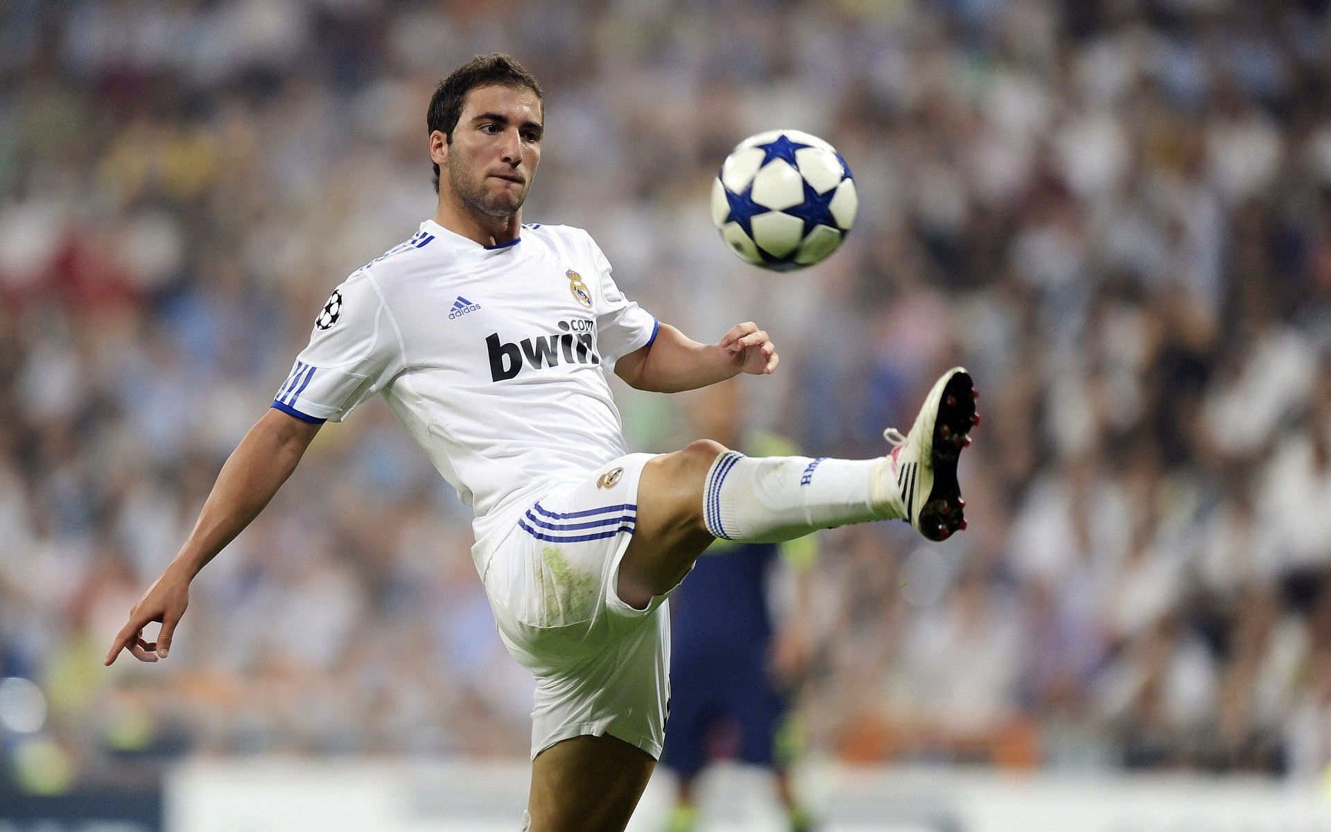 青年力量：青年球员带来的新风尚，何为青年力量